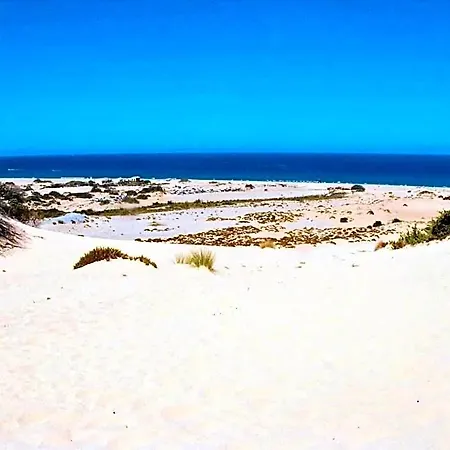 Oasi Del Relax - Seaside Peaceful Panoramic Terrace In Italy - New Sardinia 50 Mt Beach&sea Full Comfort Air Conditioning-wifi-parking-privacy * Magazzini (Sardinia)