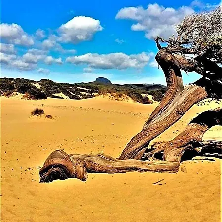 Oasi Del Relax - Seaside Peaceful Panoramic Terrace In Italy - New Sardinia 50 Mt Beach&sea Full Comfort Air Conditioning-wifi-parking-privacy 公寓 *