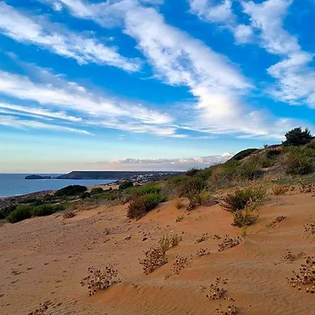 公寓 Oasi Del Relax - Seaside Peaceful Panoramic Terrace In Italy - New Sardinia 50 Mt Beach&sea Full Comfort Air Conditioning-wifi-parking-privacy
